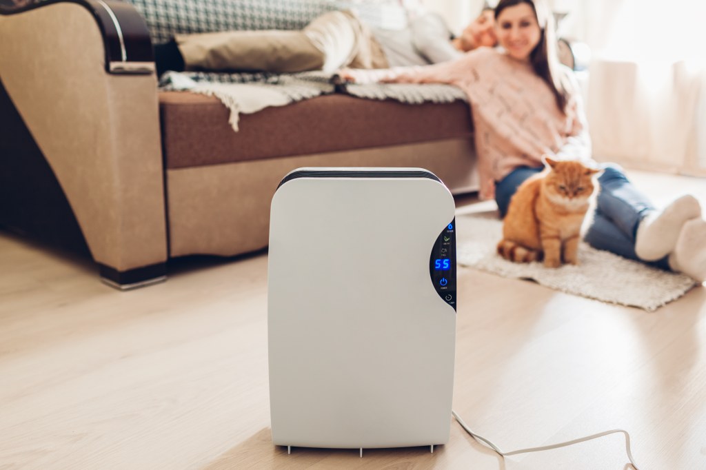 Picture of: Are Air Purifiers Safe For Pets?  Cuteness