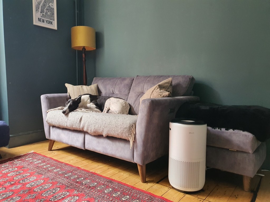 Picture of: Are Air Purifiers Safe For Pets? – HouseFresh