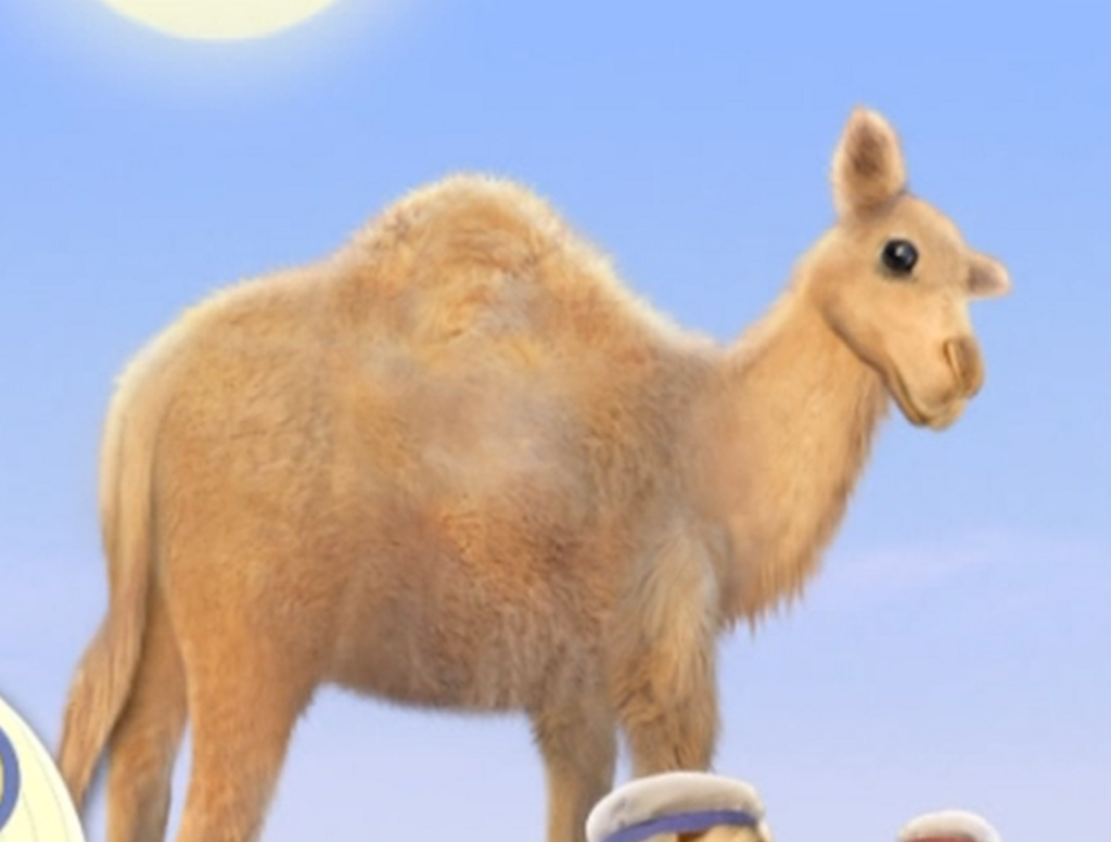 Picture of: Baby Camel  Wonder Pets! Wiki  Fandom