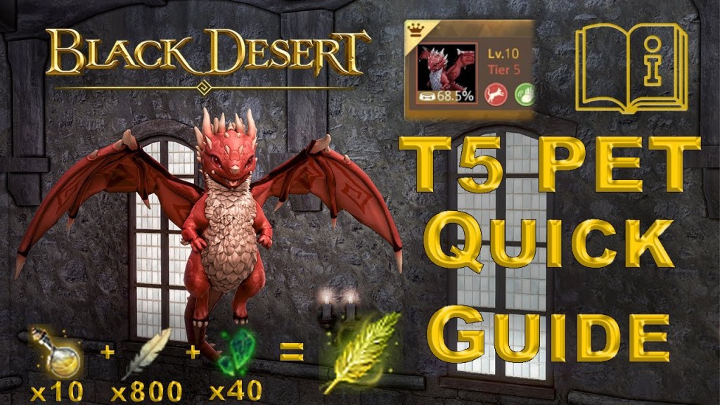 Picture of: BDO – T PET Quick Guide – Questline + Required Items