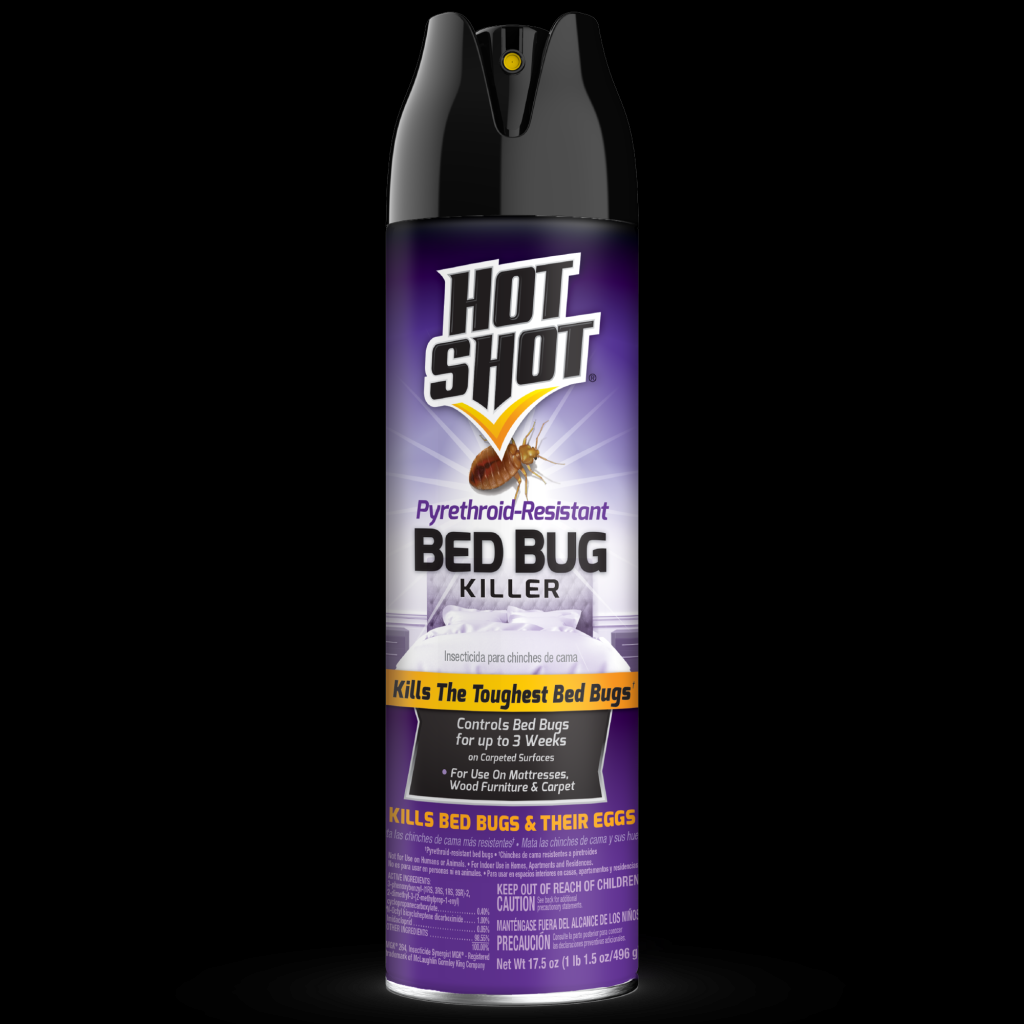 Picture of: Bed Bug Killer (Aerosol)  Hot Shot