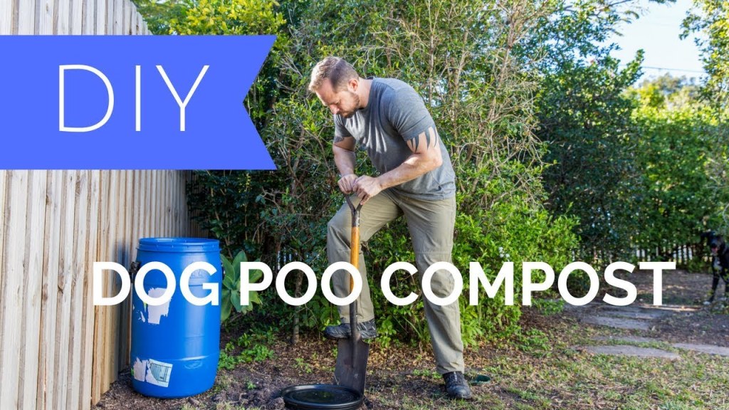 Picture of: DIY Dog Poo Compost