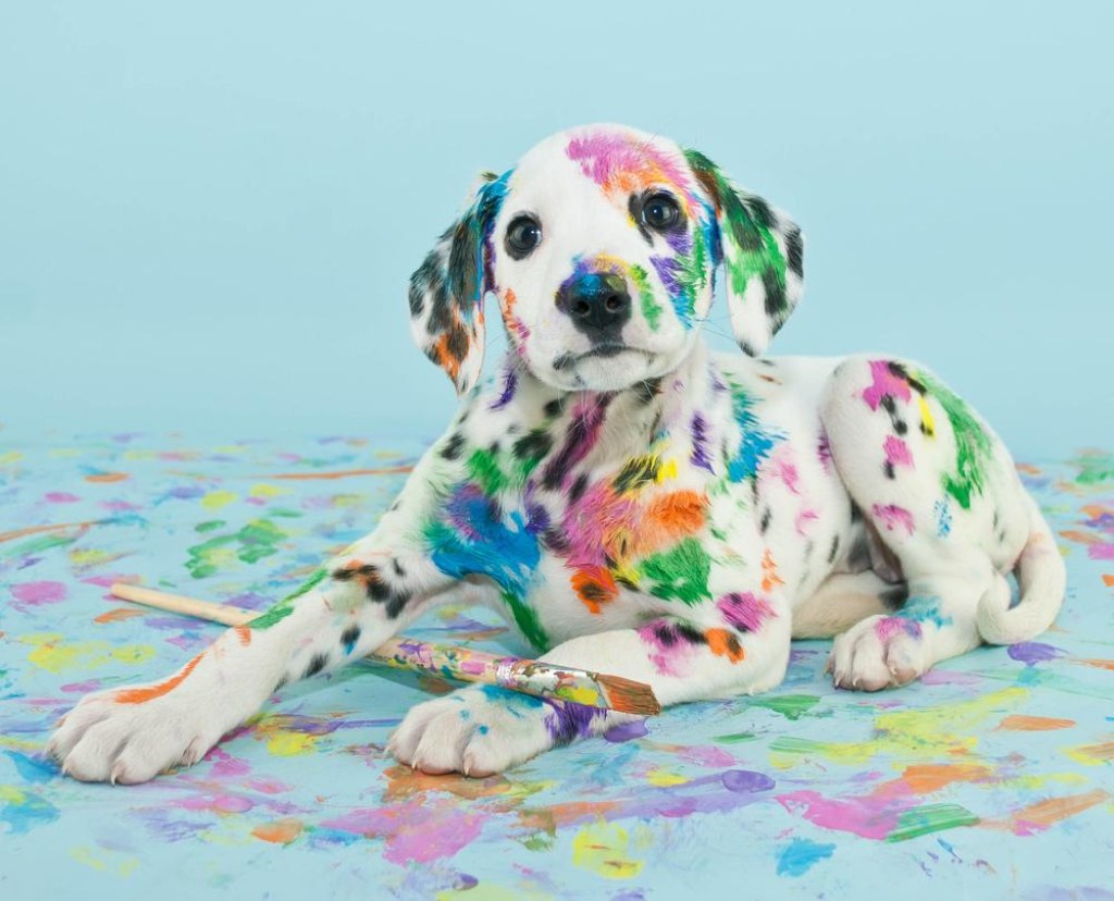 Picture of: How to Choose the Right Paint for Homes with Pets – P.L.A.Y.