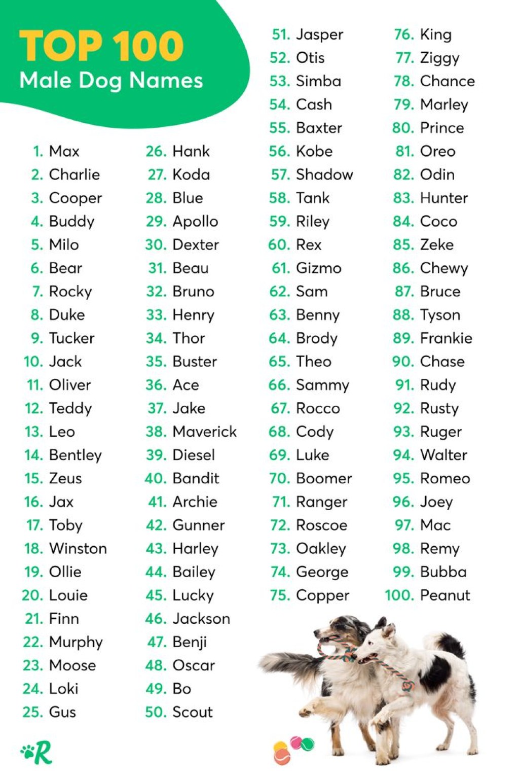 Picture of: Human Names For Dogs Sale Cheapest, Save %  jlcatj.gob