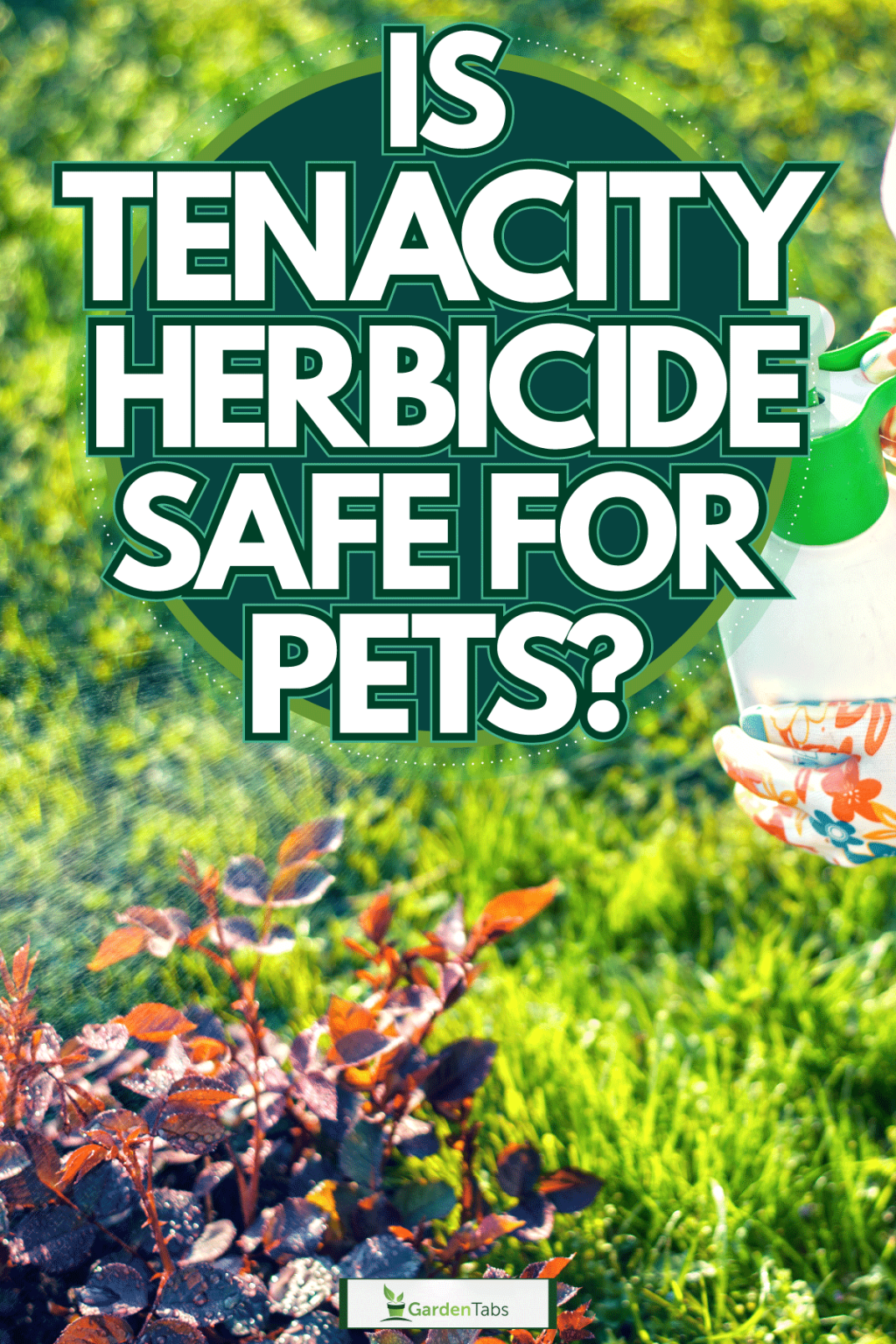 Picture of: Is Tenacity Herbicide Safe For Pets?