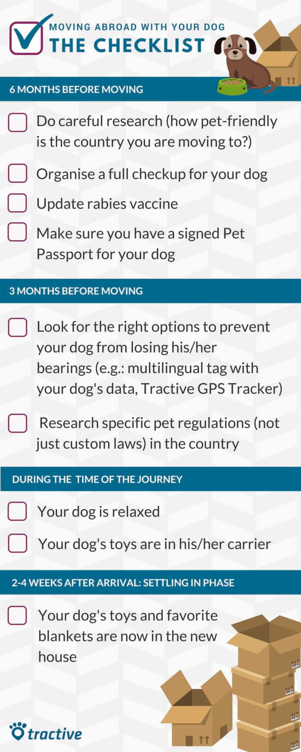 Picture of: Moving abroad with a pet: what to do and when? – A checklist to