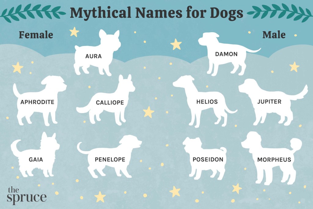 Picture of: Mythical Names For Dogs