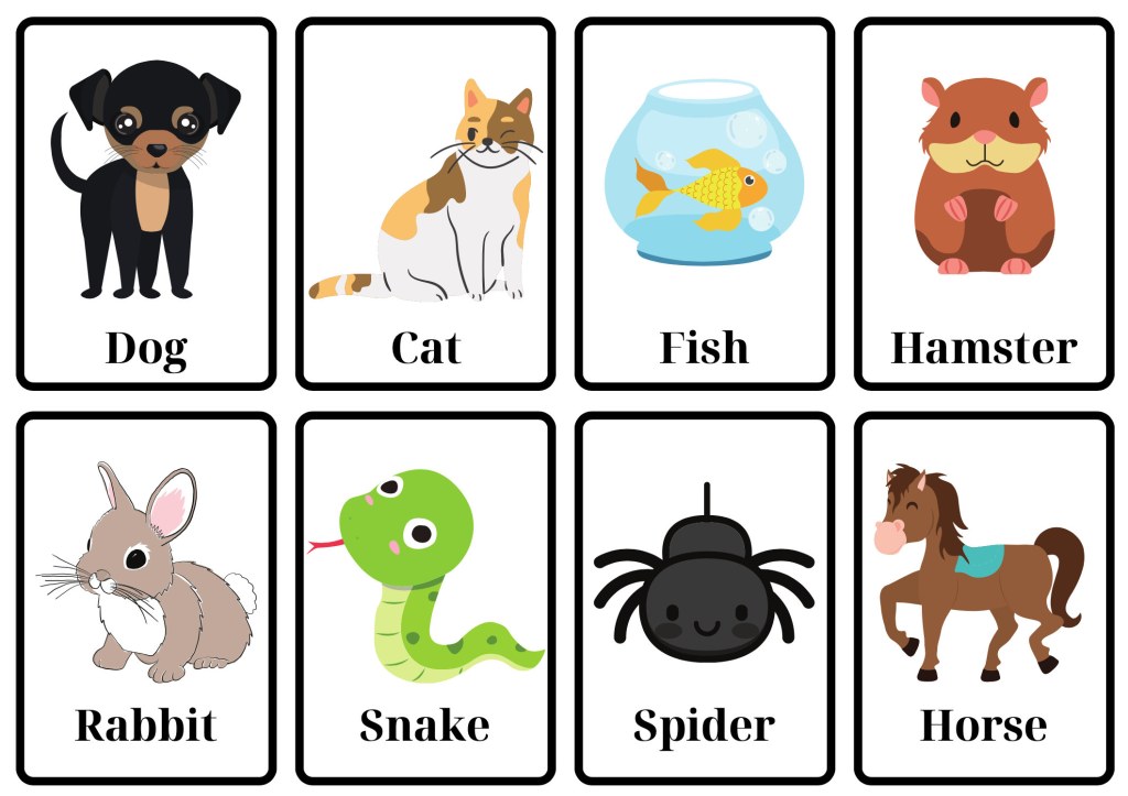 Picture of: Pet Flashcards