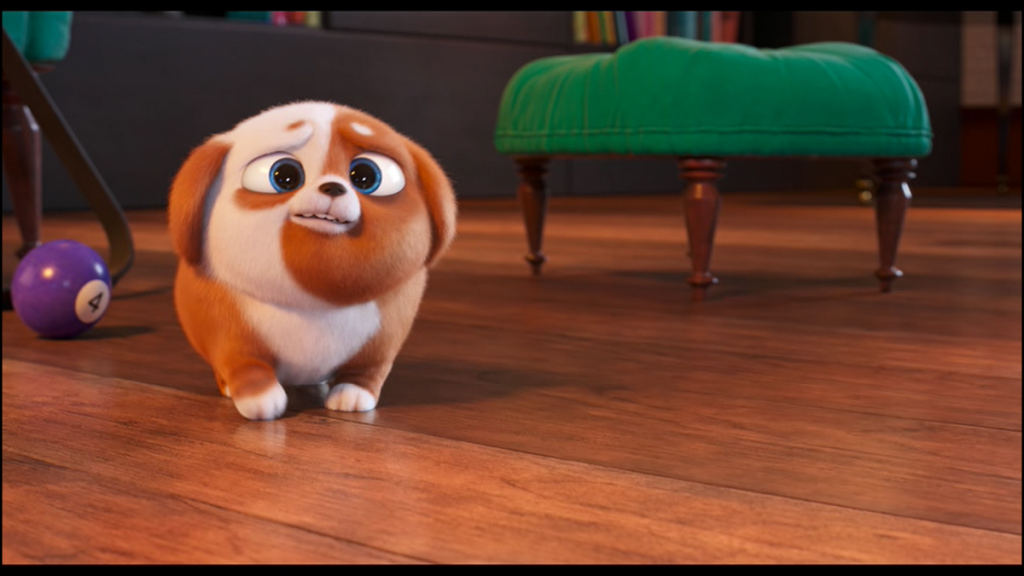 Picture of: Pickles/Gallery  The Secret Life of Pets Wiki  Fandom