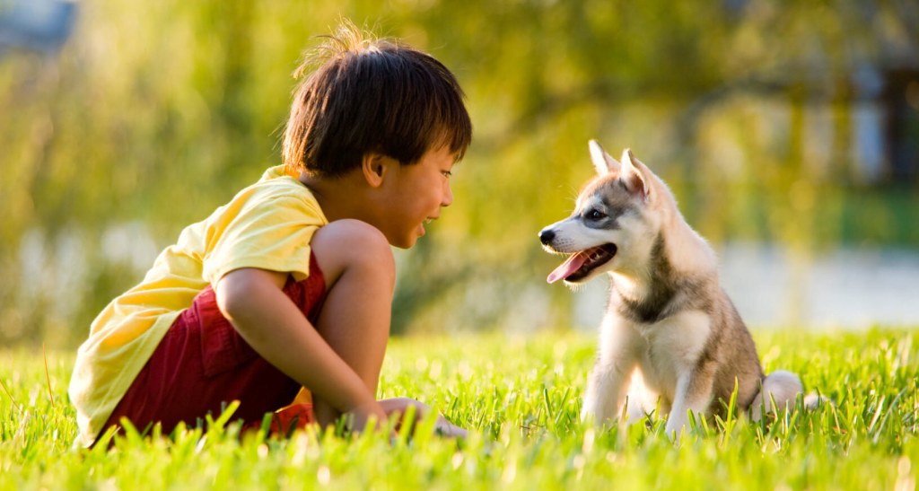 Picture of: Stress Relief & ADHD: Best Pets for Kids