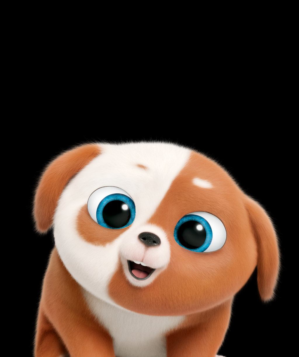 Picture of: The Secret Life Of Pets  – Illumination Entertainment