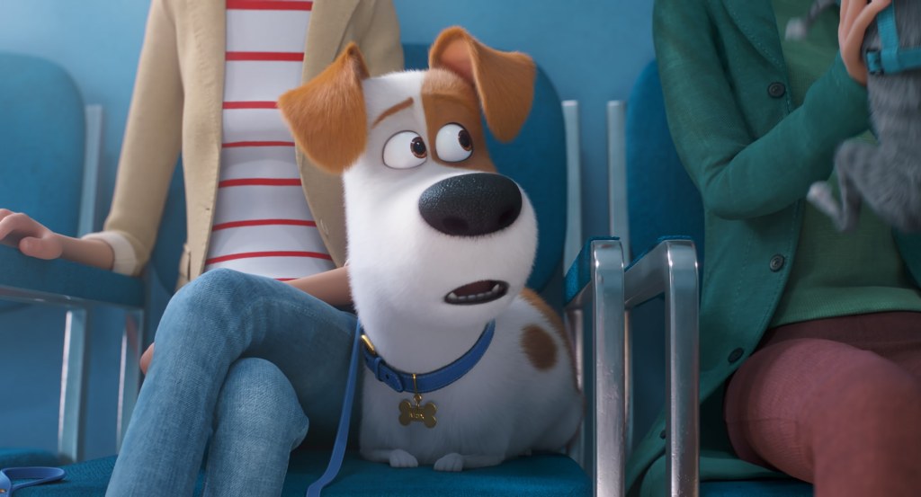 Picture of: The Secret Life of Pets  release date, cast, synopsis, trailer