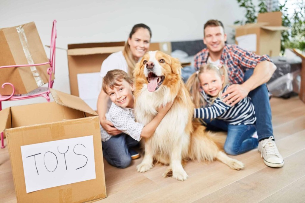 Picture of: Tips For Expats Moving Abroad With Pets In  – Expat Network
