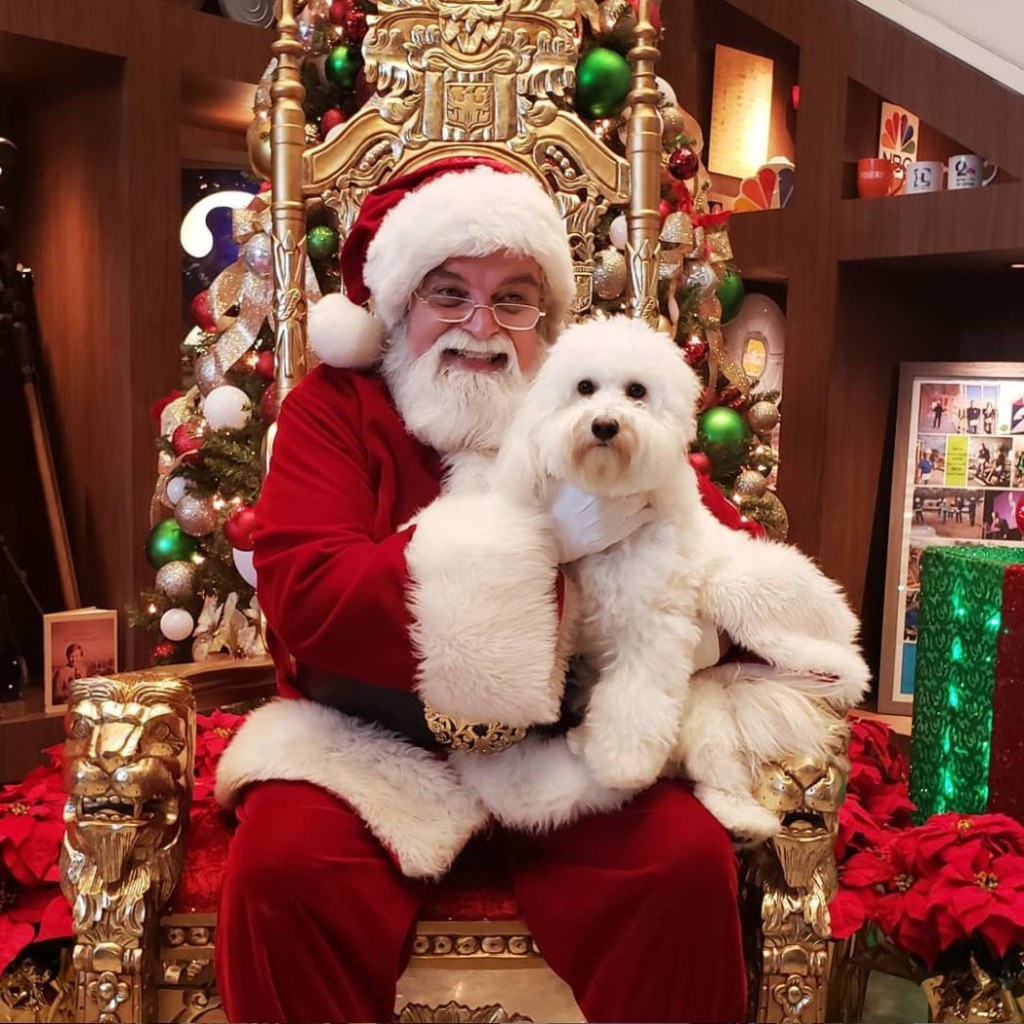 Picture of: Where to take pet photos with Santa in Houston